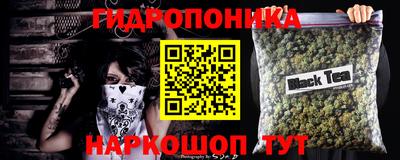 эйфоретик Аргун