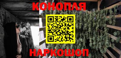 эйфоретик Аргун