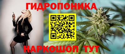 эйфоретик Аргун