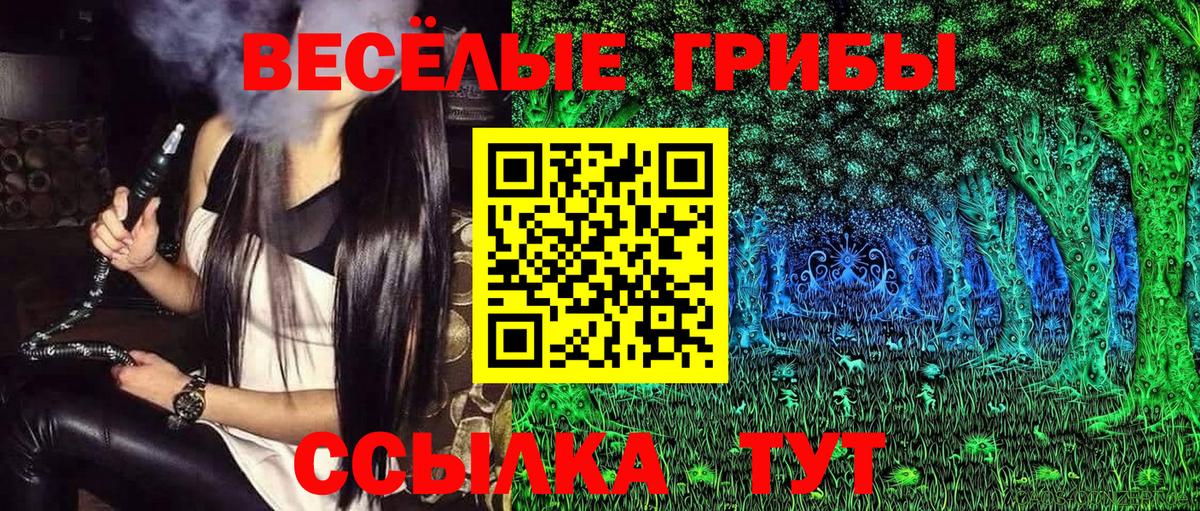 Галлюциногенные грибы Cubensis Будённовск